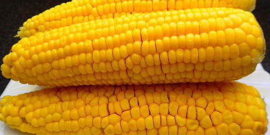 Вареная кукуруза