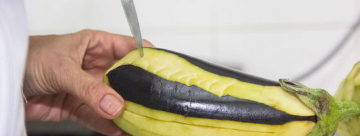 запеченный баклажан под соусом баже. Шаг 4