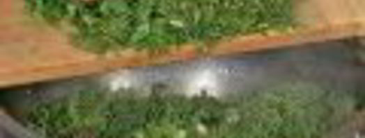 говяжья печенка в лимонном соусе. Шаг 2