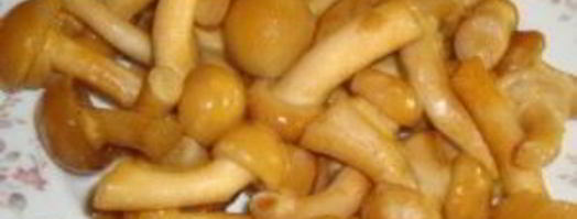 печень говяжья тушеная. Шаг 6