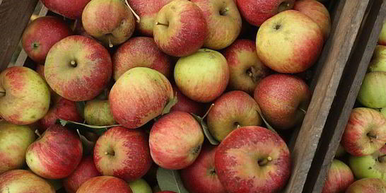 Печень с яблоками