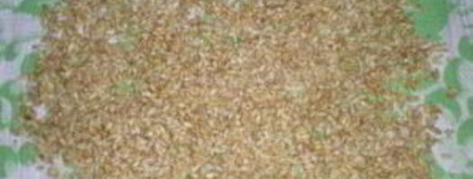 плов из перловки с мясом. Шаг 5