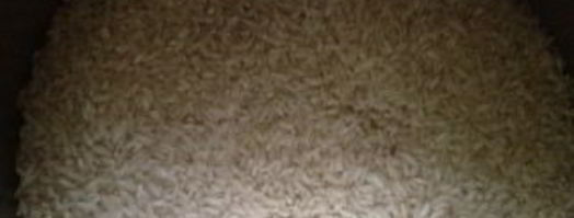 плов с тыквой и изюмом. Шаг 2