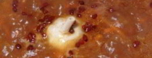 плов со свининой. Шаг 10