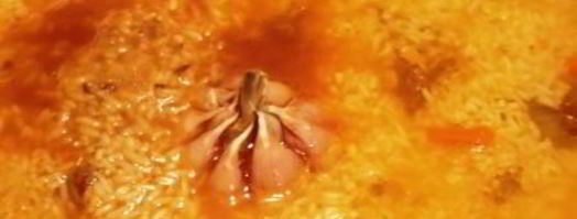 пловик. Шаг 4