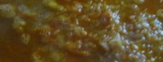 вегетарианский плов с овощами. Шаг 5