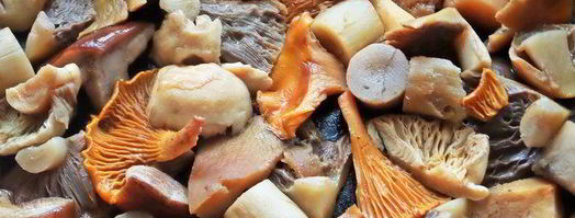 грибное рагу с овощами. Шаг 8