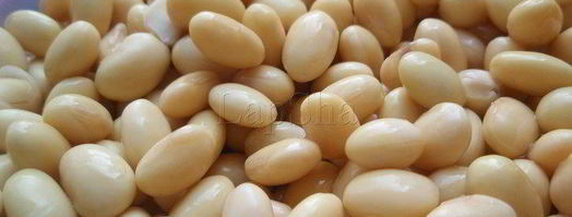 мясное рагу с соевыми бобами и орегано. Шаг 4