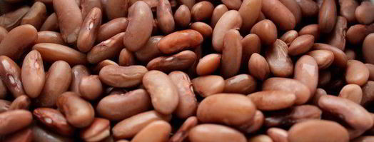 рагу из курицы с фасолью и запеченным чесноком. Шаг 2