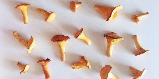 Рагу из лисичек и баклажанов