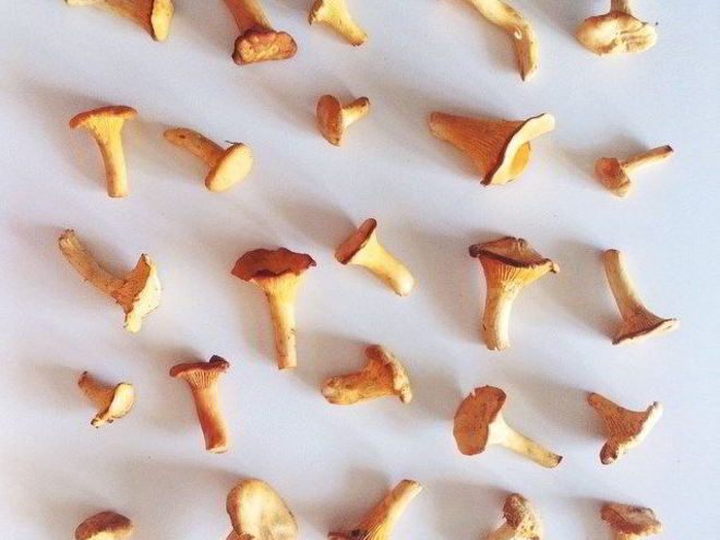 Рецепт рагу из лисичек и баклажанов