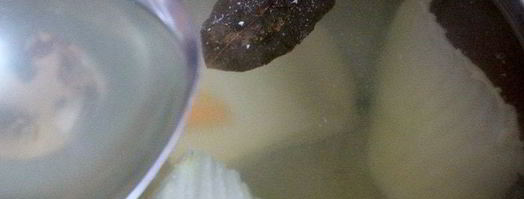 ризотто с белой рыбой венере. Шаг 7