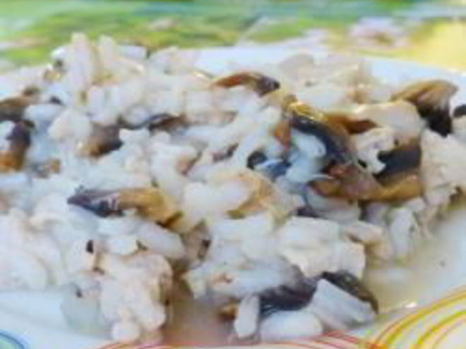 Рецепт ризотто с курицей и грибами