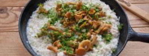 ризотто с лисичками. Шаг 7