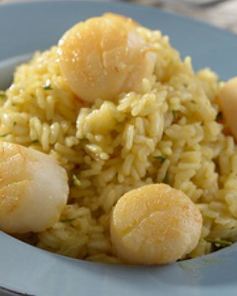 Ризотто с морским гребешком