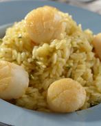 Ризотто с морским гребешком
