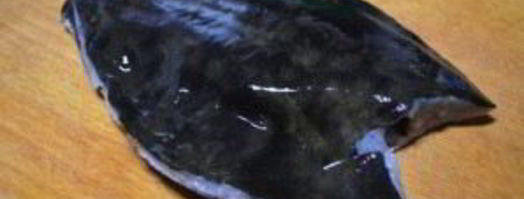 камбала, жаренная на сковороде. Шаг 2