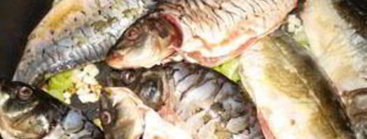 карп в кисло-сладком соусе. Шаг 3