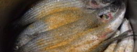 кефаль, жаренная на сковороде. Шаг 2