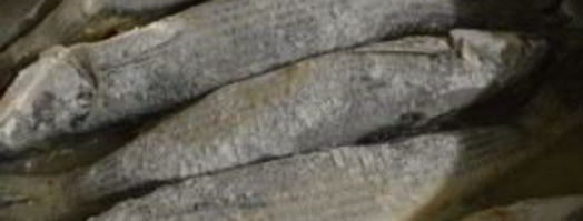 кефаль, жаренная на сковороде. Шаг 4