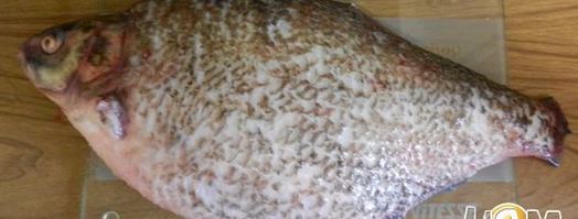 лещ с запеченым картофелем. Шаг 2