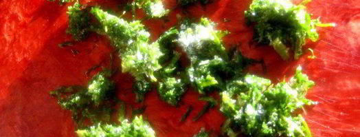 лосось в сметанном желе. Шаг 5