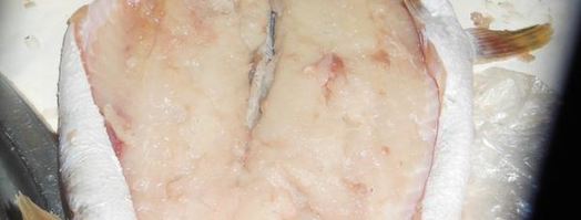 щука фаршированная в легкую. Шаг 2