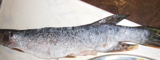 щука фаршированная в легкую. Шаг 3