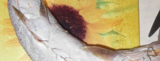 щука фаршированная в легкую. Шаг 6