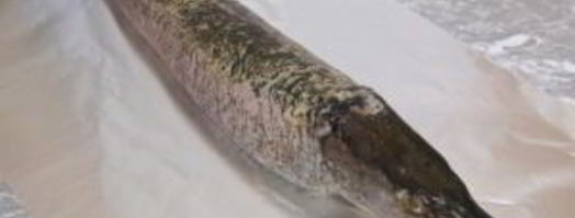 щука фаршированная. Шаг 12