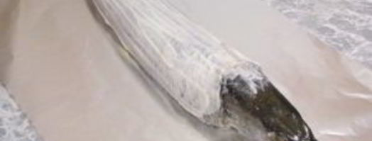 щука фаршированная. Шаг 13