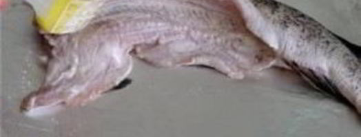 щука со сметаной в духовке. Шаг 4