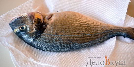 Свежая рыба дорада