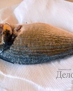 Свежая рыба дорада