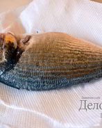 Свежая рыба дорада