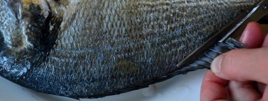 свежая рыба дорада. Шаг 4