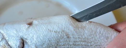 свежая рыба дорада. Шаг 6