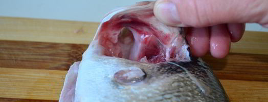 свежая рыба дорада. Шаг 9