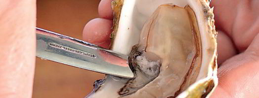 устрицы рокфеллер. Шаг 4