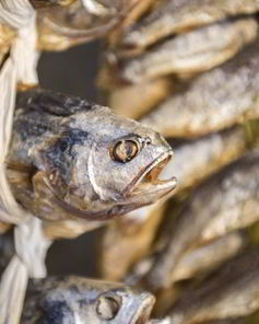 Вяленый лещ