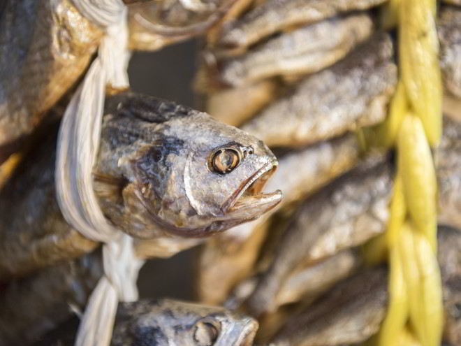 Рецепт вяленого леща