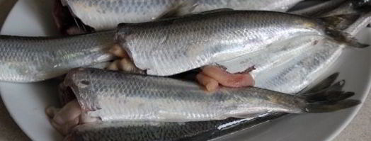 жареная салака. Шаг 2