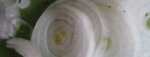 быстрое маринование шашлыка. Шаг 2