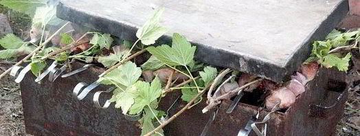 простой шашлык. Шаг 6