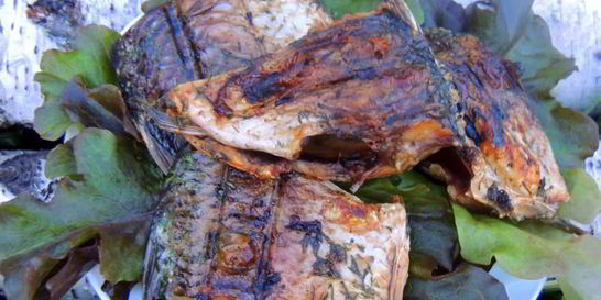 Шашлык из карася