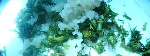 вареники с груздями. Шаг 3