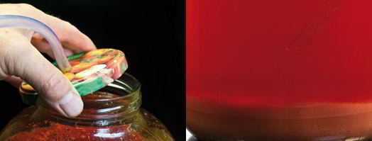 домашнее вино из клубники. Шаг 6