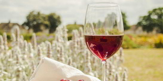 Домашнее вино из Лидии