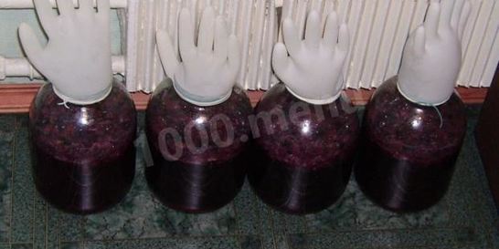 Домашнее вино из винограда Изабелла