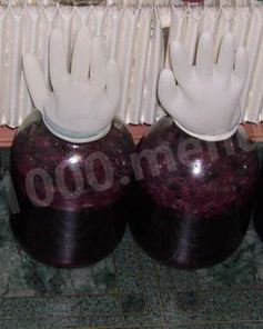 Домашнее вино из винограда Изабелла